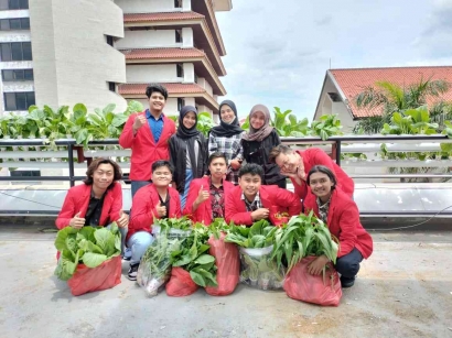 Pengolahan Sayur Hidroponik Menjajadi Keripik Sayur - KKN Untag Surabaya - Kampus Merdeka