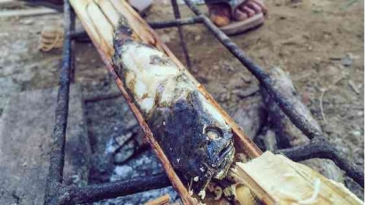 Mengenal Kuliner Ikan Senggung Khas Muaro Jambi yang Sudah Langka