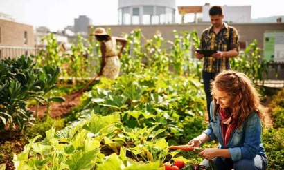 Rooftop Garden: Menjawab Isu Lingkungan dan Ketahanan Pangan Warga Perkotaan