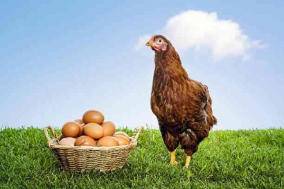 Einstein X Newton: Telur Atau Ayam Duluan?