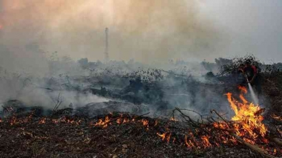 Tindakan Greenpeace Dalam Kebakaran Hutan Lahan Riau