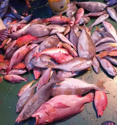 "Illegal Fishing" di Perairan Pulau Serua