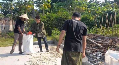 Trial and Error #1: Tantangan Pembuatan Briket Bonggol Jagung oleh Kelompok KKN-K 009 Desa Gumukmas