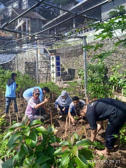 KWT Sekarkemuning Petompon Rangkul Mahasiswa KKN Posko 22 menggiati Urban Farming