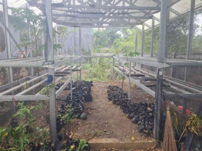 KKN UMD UNEJ Kelompok 11 Menghidupkan Kembali Greenhouse Desa Sumbersuko