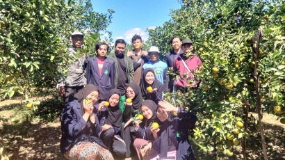 Menilik Sentra Utama Jeruk di Kabupaten Malang, Kecamatan Dau, Desa Sumbersekar
