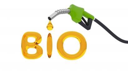 Menggagas Energi Hijau: Indonesia dan Era Biodiesel Berkelanjutan
