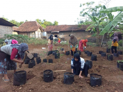 Cegah Stunting, KKN Tim II UNDIP Serukan Lahan Pekarangan menjadi Kebun Gizi di Desa Serut