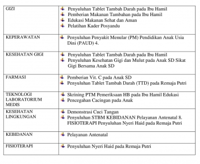 Seminar Program Kerja Mahasiswa KKN Poltekkes Makassar Posko 69 di Desa Itterung Kecamatan Tellusiattinge