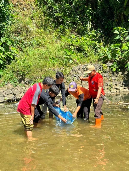 Mahasiswa KKN UMP 103 Desa Samudra Kulon Menebar Benih Ikan di Sungai Tajum