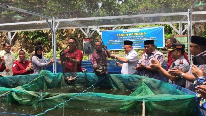 Pjs. Bupati Buru Panen Perdana Ikan Nila Hasil Budidaya WB Lapas Namlea dan DPK Buru