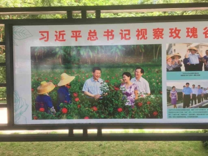 Bunga Mawar untuk Xi Jinping dan One Child Policy