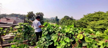 8 Siswa SMX Sekolah Alam Bogor Belajar Pertanian Sistem Permaculture di Depok