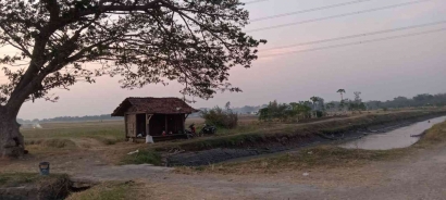 Sejarah Kampung Tebon Agung Desa Ngroto Kecamatan Gubug Kabupaten Grobogan