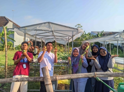 Cegah Stunting, Mahasiswa KKN Uniwara Menanam Sayur Sawi Pakcoy Menggunakan Metode Hodroponik