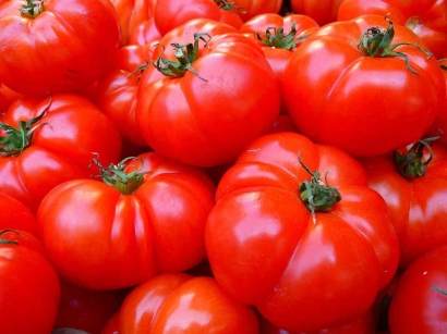Manfaat Buah Tomat Bagi Kesehatan