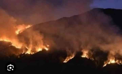 El Nino, Kekeringan dan Kebakaran Hutan di Bukit Teletubies Gunung Bromo