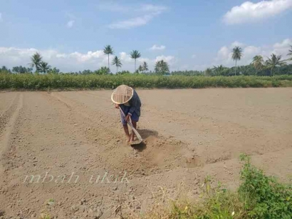 Memahami Kearifan Lokal Pranata Mangsa dalam Bertani