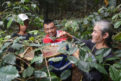 Konservasi Pohon Langka Saninten; Titik Awal Program Pemberdayaan Masyarakat Petani di Desa Sunten Jaya, Lembang, Bandung