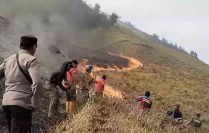 Kebakaran Savana Bromo Masih Berlanjut, WO dan Pengantin Salahkan Angin Kencang