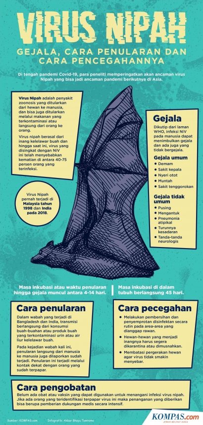 Virus Nipah di Indonesia: Perlu Waspada, tapi Tak Perlu Panik
