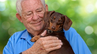 Anjing Peliharaan dan Demensia: Menengok Faktor Hormon Cinta dan Fungsi Otak
