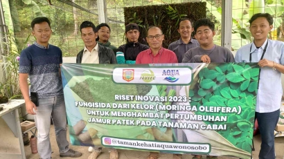 Daun Kelor Taman Kehati Aqua Wonosobo untuk Fungisida Antraknosa (Patek) Tanaman Cabai