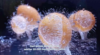 Film Unik dan Seru tentang Jamur Pahlawan Bumi (Fantastic Fungi) Bagian 1