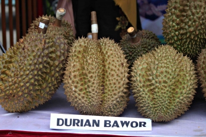 Potensi Agrowisata Durian Granada Garden Ville di Bogor Timur Menarik Minat Wisatawan