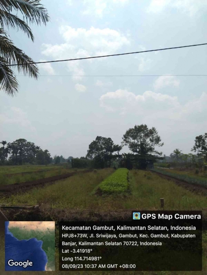 Menggali Informasi Terkait Kondisi Lingkungan Lahan Basah di Desa Sriwijaya Liang Anggang