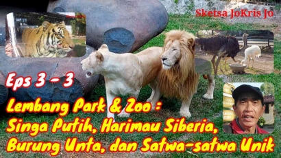 Lembang Park & Zoo: Singa Putih, Harimau Siberia, Burung Unta, dan Satwa-satwa Unik