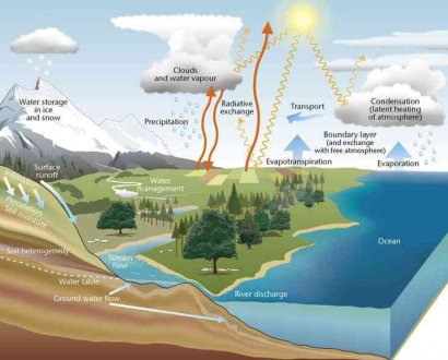 The Hydrological Symphony: Exploring Earth's Lifesaving Water Cycle