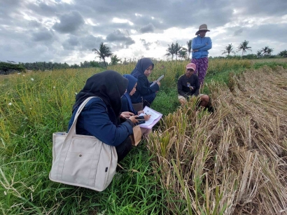 Lahan Pertanian di Bali Semakin Menurun! Tim PKM FP UB Meneliti Faktor dan Persepsi Masyarakat Bali Terhadap Penurunan Eksistensi Awig-Awig Subak