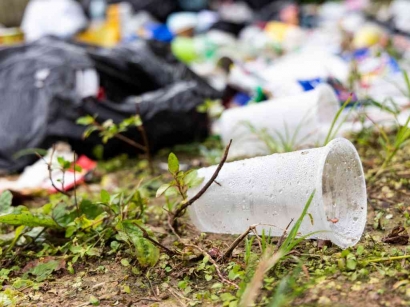 Peran Biodegradasi dalam Pelestarian Lingkungan: Mengapa Ini Penting?