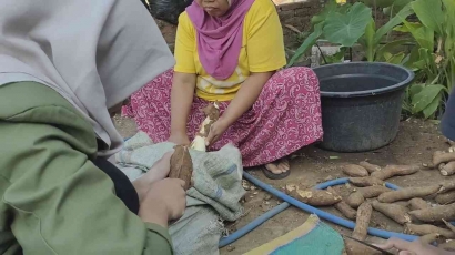 Antusiasme Mahasiswa Bina Desa UPNVJT dalam Mengikuti Kegiatan Produksi Kerupuk Samiler