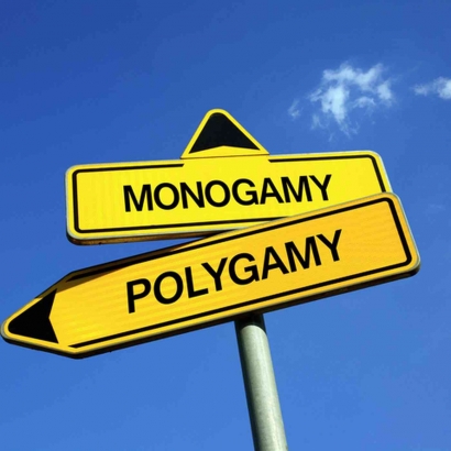 Monogami vs Poligami ?