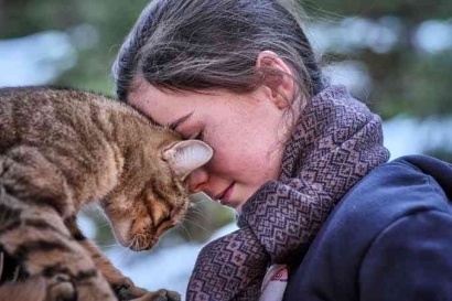 Kisah Persahabatan Kucing Petualang dan Anak Perempuan di A Cat's Life
