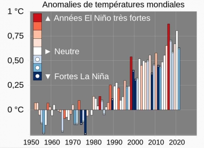 Panas Banget, Ya? Cuaca Ekstrem, El Nino, dan Dampak Nyata dari Perubahan Iklim
