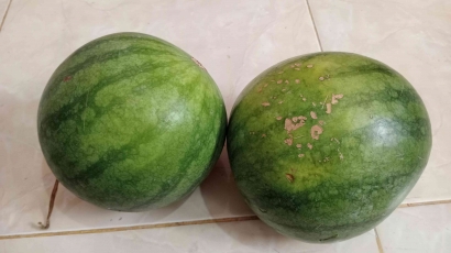 Buah Semangka yang Segar dari Ibu Petani yang Baik Hati