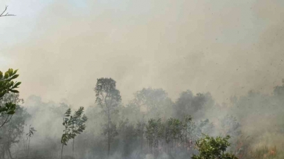 Akibat Kabut Asap terhadap Lingkungan Perekonomian Indonesia