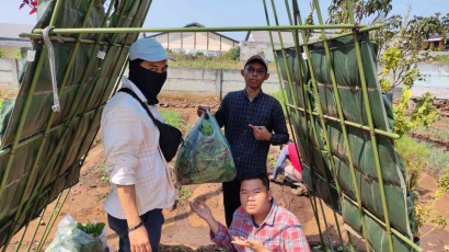 Pemanenan Sayur Sawi Organik oleh UPT Pelatihan Pertanian Singosari Bersama Masasiswa UPN Veteran Jawa Timur