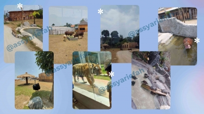 Liburan ke Lembang Park Zoo
