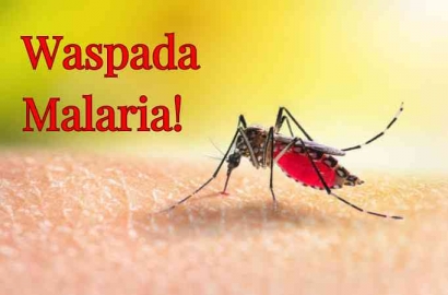 Memahami Malaria, Sebuah Penyakit yang Berakibat Fatal di Seluruh Dunia