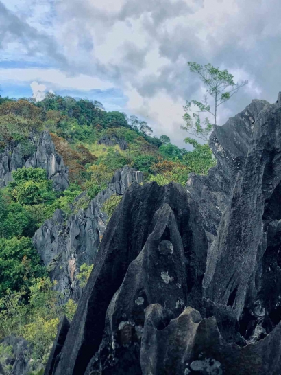 Jejak Alam yang Tak Terlupakan: Pesona Indah Hutan Batu Lumindai
