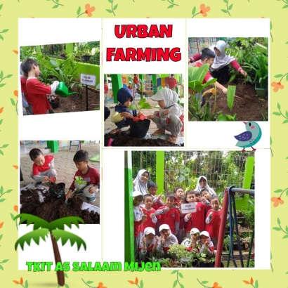 Urban Farming Sarana Pembelajaran untuk Anak Usia Dini