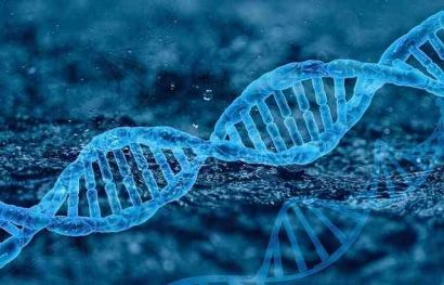 Membahas Genetika: Mekanisme Pewarisan Sifat dan Variasi dalam Organisme