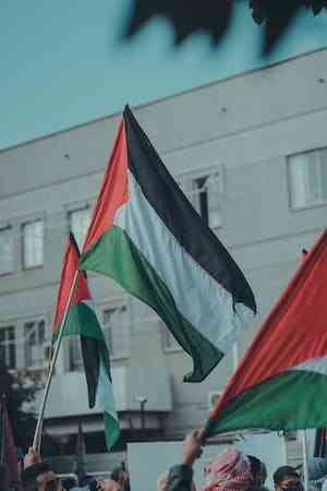 Gerakan Solidaritas Palestina di Indonesia: Antara Kesadaran dan Risiko Politik