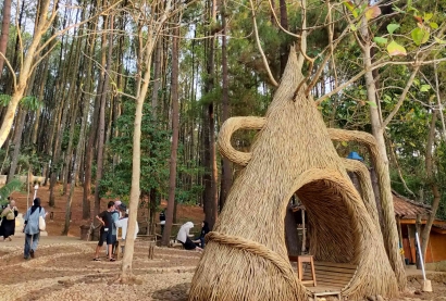 Hutan Pinus Pengger di Jogja: Pesona Alam yang Menakjubkan