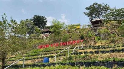 Digitalisasi Desa Wisata Padusan oleh Mahasiswa KKN Universitas Negeri Malang