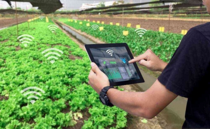 Budidaya 5.0: Petani Malang Melangkah Ke Era Baru dengan Smart Farming